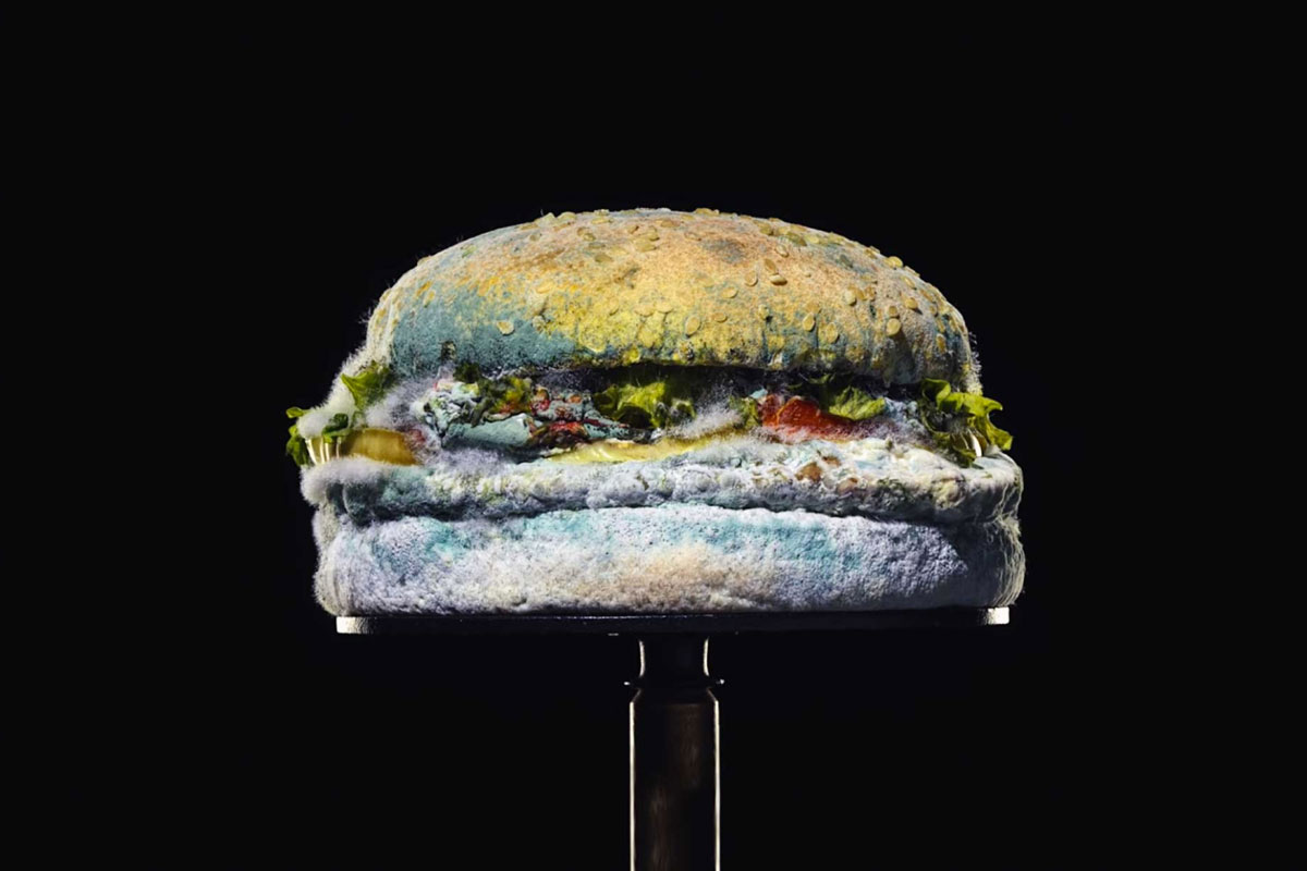Whopper ammuffito: la nuova campagna marketing di Burger King