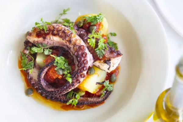 Polpo arrosto con patate e capperi. Piatto gourmet di pesce. Food e fashion.