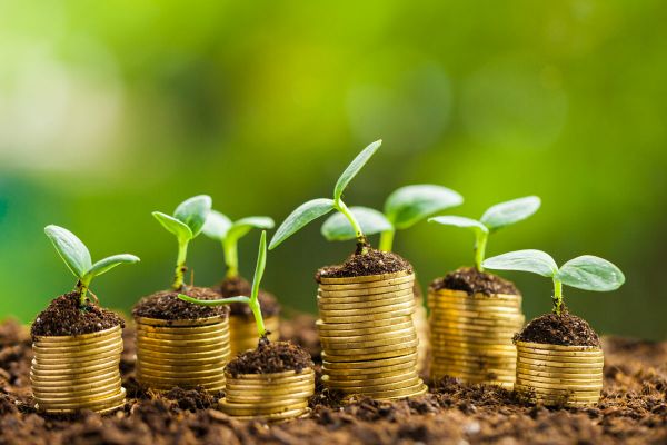 Germogli su pile di monete. Investimenti foodtech e crescita nel settore food delivery.