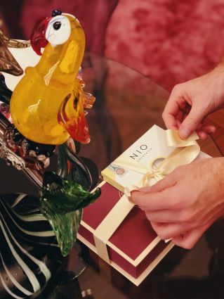 Aperitivo Food Experience: Nio Cocktails confezione regalo con fiocco, accanto pappagallo decorativo.