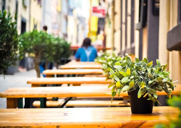 Tavoli di ristorante Made in Italy all'aperto con piante. Consumi sostenibili.