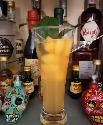 Cocktail zero waste per la giornata del risparmio. Drink con ghiaccio e decorazione. Bottiglie di liquore sullo sfondo.