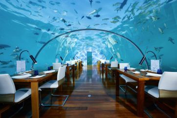 Unico-undersea-restaurant-keywords
