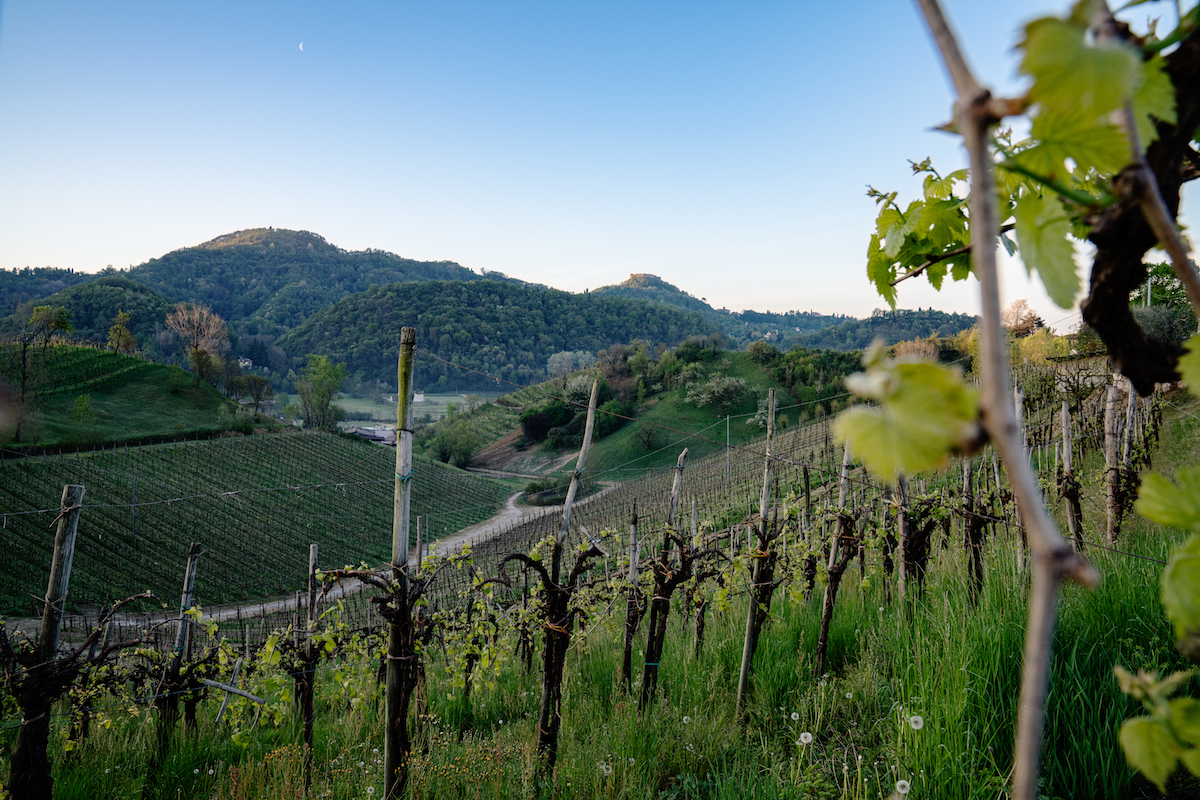 L’Asolo Prosecco supera quota 21 milioni di bottiglie