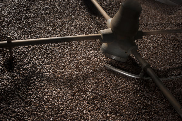 Torrefazione caffè: macchina con chicchi tostati. Impatto guerra Ucraina sul caffè italiano.