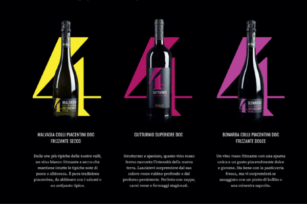 Vini Piacentini Cantine 4 Valli: Malvasia, Gutturnio, Bonarda. Bottiglie su sfondo nero.