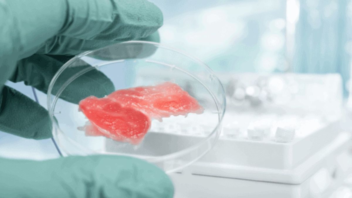 Nomad Foods e BlueNalu, il pesce si pesca in laboratorio