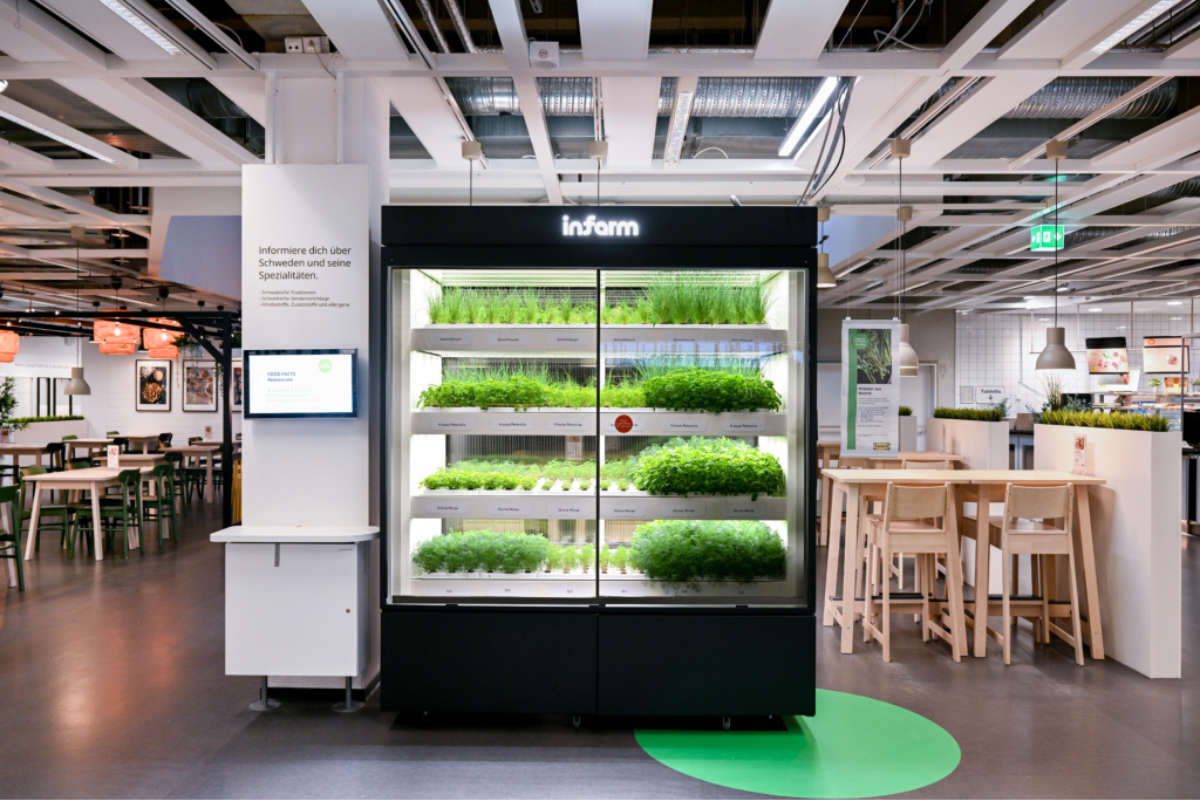 Anche Ikea punta sul vertical farming