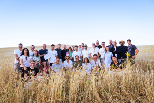 Gruppo in campo di grano, Viaggio alla scoperta di Petra Evolutiva. Team building e crescita personale.