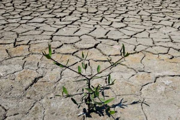 Terreno arido e secco, simbolo di siccità. Crisi idrica e impatto sulla produzione di birra.