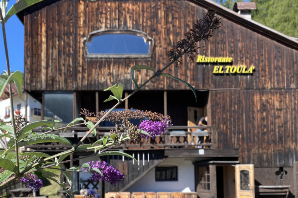 Ristorante El Toula a Cortina. Facciata in legno, fiori viola in primo piano. Alajmo apre a Cortina.
