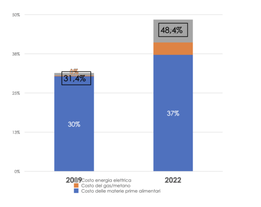 Grafico costi mense scolastiche 2019-2022: energia elettrica, gas/metano, materie prime alimentari. Aumento costi evidenziato.