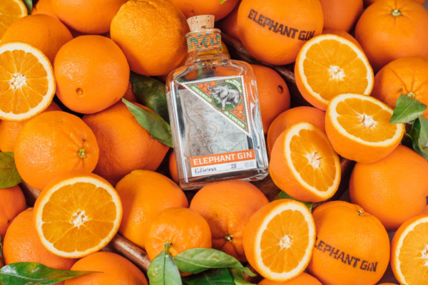 Gin Elephant tra arance. Agrumi freschi e bottiglia di gin artigianale. Compagnia dei Caraibi.