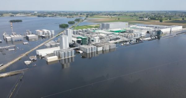 Alluvione in Romagna: Stabilimento Unigrà di Conselice sommerso dall'acqua. Disastro alimentare.
