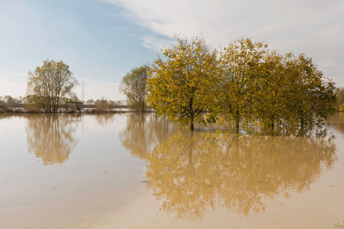 Alluvione, la Romagna del food riparte dopo il disastro